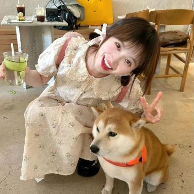 风尘奇侠传